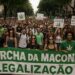 Marcha da Maconha em Belo Horizonte 31 de maio de 2025