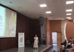 Avistar minas reúne público recorde e dá voz à representatividade feminina