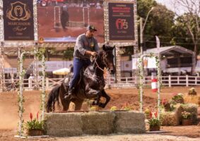 Mangalarga Marchador no Parque da Gameleira: campeonato, churrasco e diversão para a família