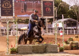 Mangalarga Marchador no Parque da Gameleira: campeonato, churrasco e diversão para a família